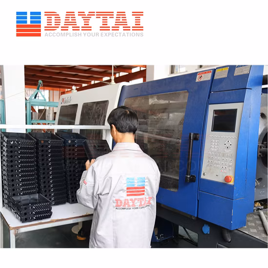 Daytai 12